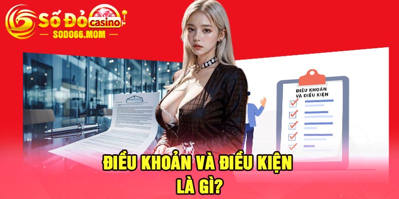 Điều khoản và điều kiện là gì?