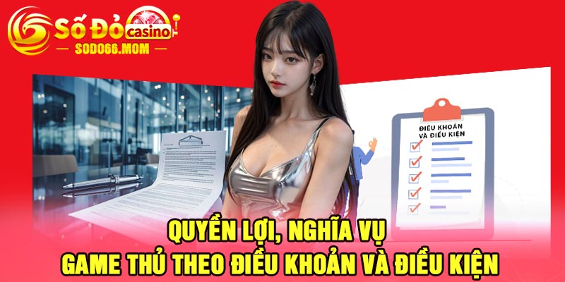 Quyền lợi, nghĩa vụ game thủ theo điều khoản và điều kiện